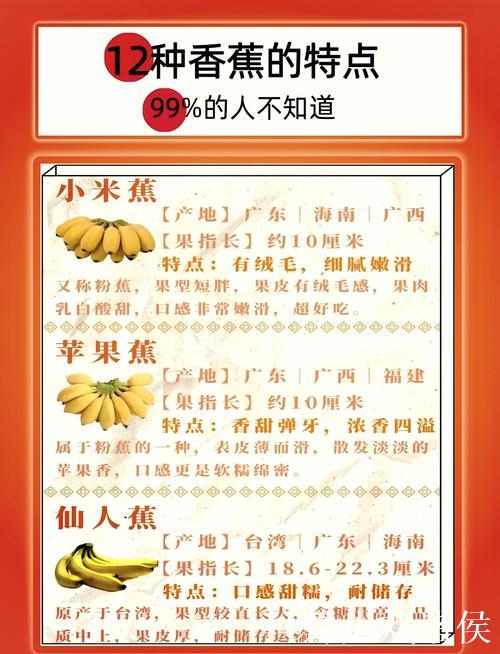 探寻国产香蕉精品魅力之选 探寻国产香蕉精品魅力之选