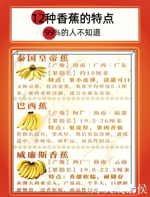 探寻国产香蕉精品魅力之选 探寻国产香蕉精品魅力之选