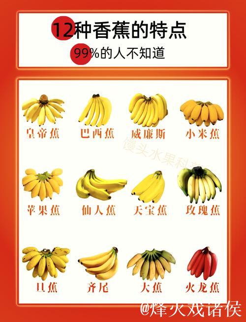 探寻国产香蕉精品魅力之选 探寻国产香蕉精品魅力之选